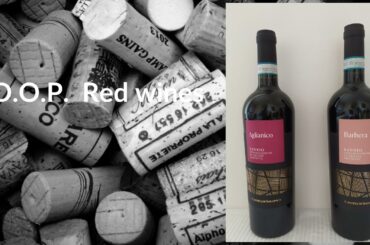 Drinking Italian Wine with your family for Easter at a reasonable price! Find out the promotion