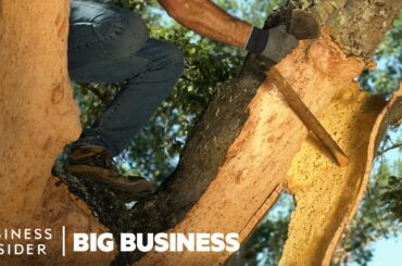 How 40 Million Cork Wine Stoppers Are Harvested A Day | Big Business