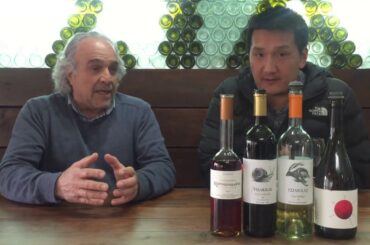 Cyprus Wine: Tasting at Tsiakkas Winery