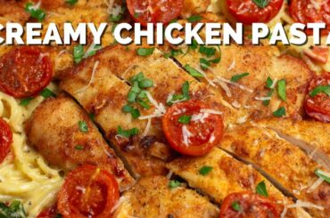CREAMY CHICKEN PASTA IN ITALIAN WHITE WINE PARMESAN SAUCE
