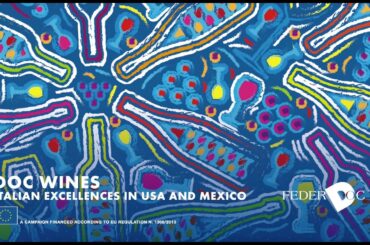 Italian Wines with Designation of Origin