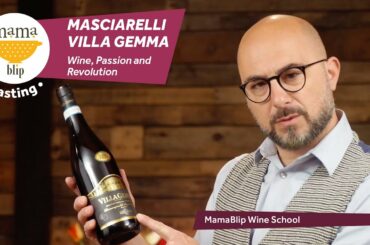 Masciarelli Villa Gemma: Wine, Passion and Revolution