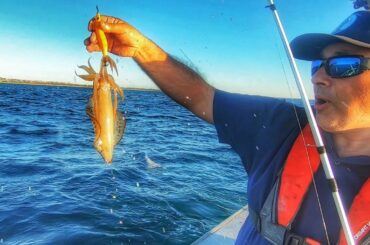 Calamari Fishing Madness with Baccala' Catch n Cook