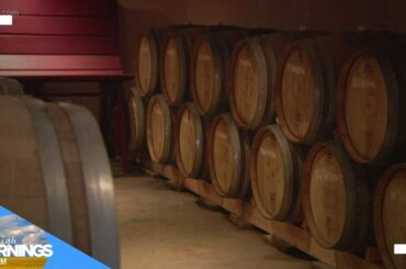 Winery in Ballpark neighborhood only uses grapes from Italy