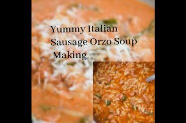 Yummy Italian sausage Orzo Soup Making