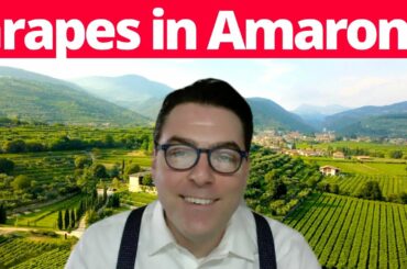 Amarone: The Grapes That Make One Of Italy's Best Red Wines