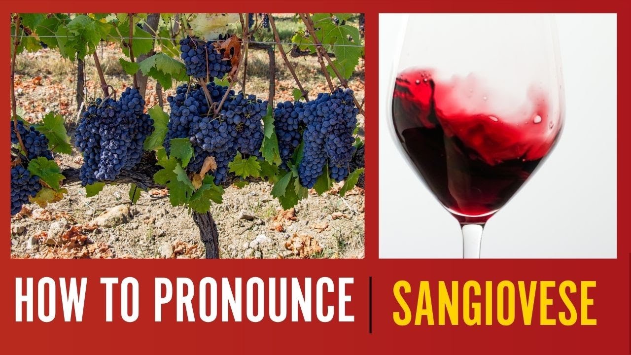 How to Pronounce Sangiovese How to Pronounce Sangiovese