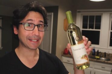 [YTP: SHORTS] ADAM RAGUSEA HATES WHiTE WiNE?!?!?!