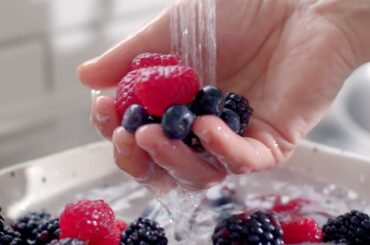 Cook Like An Italian - Silvia Colloca Makes a Torte Montenegro with Perfection Berries