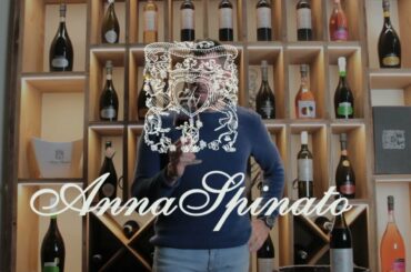 Malanotte del Piave DOCG - Italian Red Wine