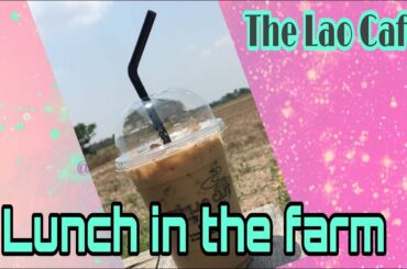 Lunch in the Farm