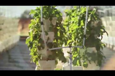 Benedetto's Italian Restaurant "We Make it Fresh!  30 second commercial