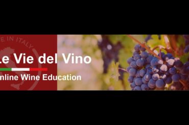 Le vie del vino. Online Wine Education. Irpinia in Campania