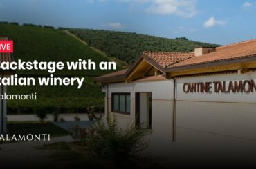 Backstage with an Italian Winery, Talamonti