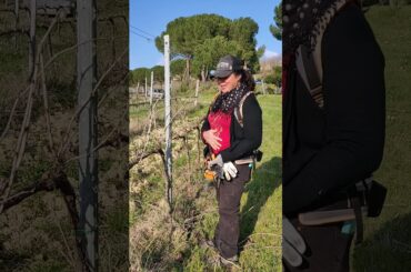 Tuscany Italy Filippina Working In The Vineyard (Parte 1)