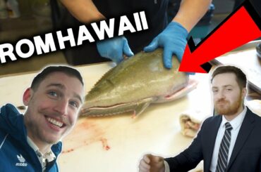 KAMPACHI IN ALASKA | Familia AK | Top 15 Restaurants in Alaska