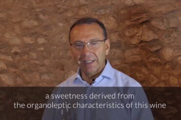 Domini Veneti from Veneto, Italy