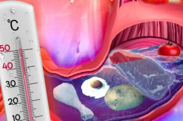 The Food You Can Cook Inside Your Body