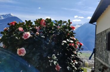 Hiking the Via dei Terrazzamenti. Valtellina Terraced Vineyards Trail. (SO) Italy-  by Pinay in EU.