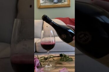 MEDICI ERMETE CONCERTO LAMBRUSCO REGGIANO 2016 / Avie Life In USA /#shorts