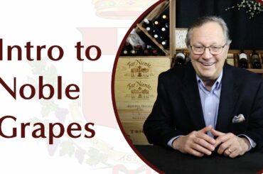 Top Wines in the World - Noble Grapes - Introduction