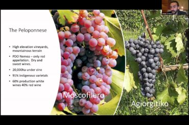 St. Vasilios Philoptochos ‘A Wine Tour of Greece’ Webinar