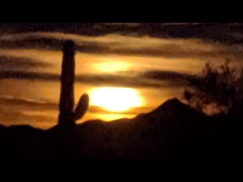 Live At 5:00 Pst. Blackstone camp cooking. Italian marinade chicken thighs in a mushroom sauce. Live At 5:00 Pst. Blackstone camp cooking. Italian marinade chicken thighs in a mushroom sauce.