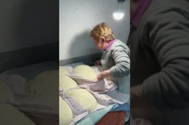 homemade Calzone( Italian Tradition version)