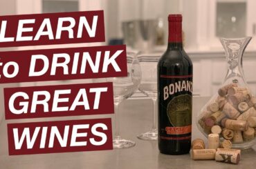 MasterClass Taught Us Wine Appreciation