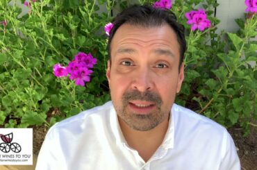 Italian Wines To You Introduction