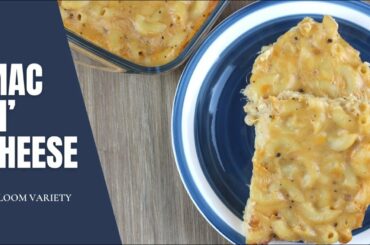 Mac ‘n’ Cheese | Italian Recipe | Bloom Variety