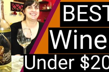 BEST Wine Under $20 | Girl and Dragon - 2016 Pinot Grigio Review (Summer Wine)