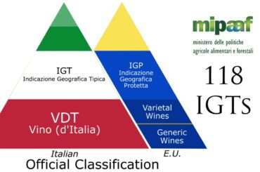 Classification of Italian Wines