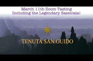 Sassicaia Wine Tasting