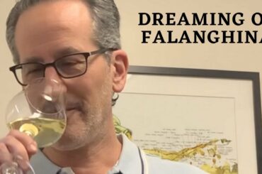 Drink Some Falanghina, I Beg You!! | Under the Radar Grapes