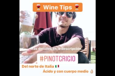 Wine Tips: Pinot Grigio / Garganega 2019 - Garda - San Giorgio