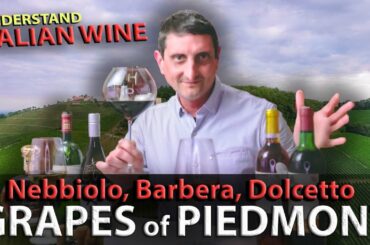 Piedmont's Wine TRILOGY: Nebbiolo, Barbera, Dolcetto | Italian Wine 101