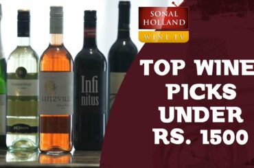 Gifting Wines Under Rs.1500 || Sonal Holland Wine TV