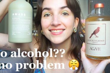 the BEST and WORST of non-alcoholic drinks ft. NA beer, wine, spirits, + MORE