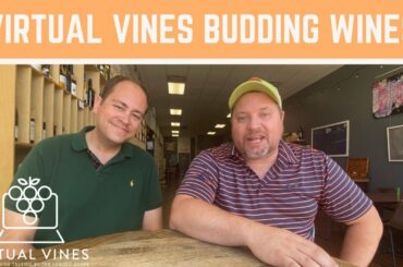Virtual Vines - Budding Wines