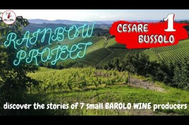 CESARE, part I - An Innovative Style - RAINBOW PROJECT - StefunWine - Barolo wine area