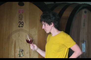 Vecchie Terre di Montefili from Chianti Clasico, Italy