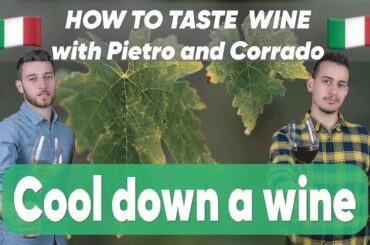 Marronaia's Wine Tips - HOW TO COOL DOWN A WINE IN A FAST WAY