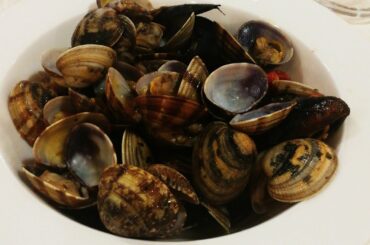 #Shorts SAVOY BEACH HOTEL BIBIONE ITALY /HOLIDAY /URLAUB