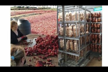 Cooking Lesson from Italy