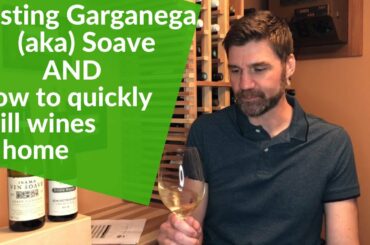 Tasting Garganega (Soave) and How to Quickly Chill Wine: Wine #17 of 52