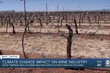 AZ wine growers working to adapt to changing climate