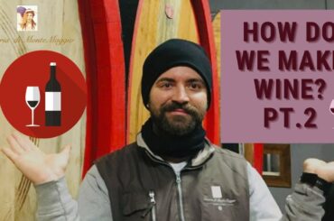 HOW DO WE MAKE THE WINE???!!!! Part2