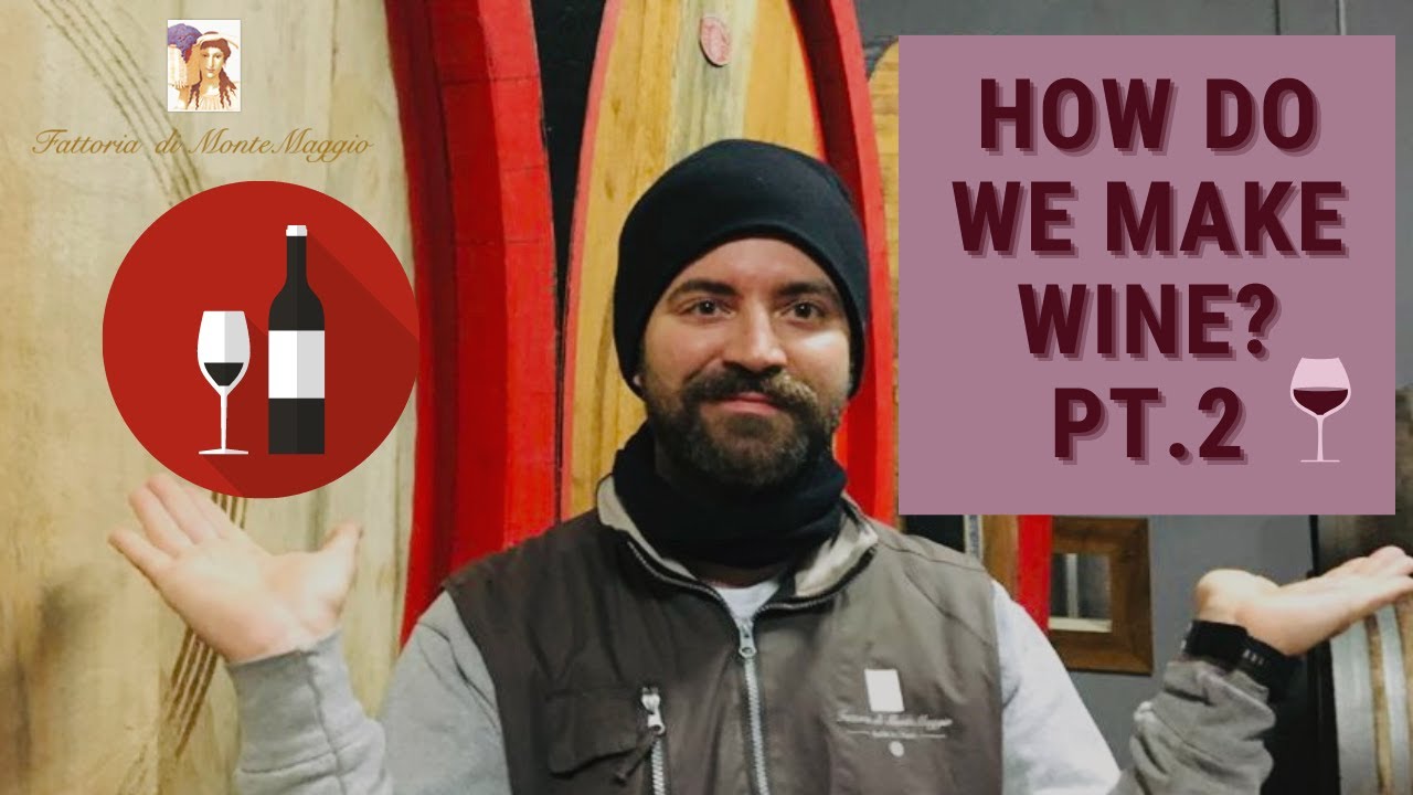 HOW DO WE MAKE THE WINE???!!!! Part2 HOW DO WE MAKE THE WINE???!!!! Part2