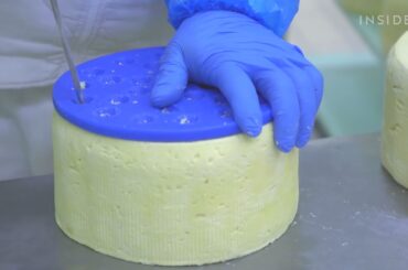 How Italian Gorgonzola Cheese Is Made